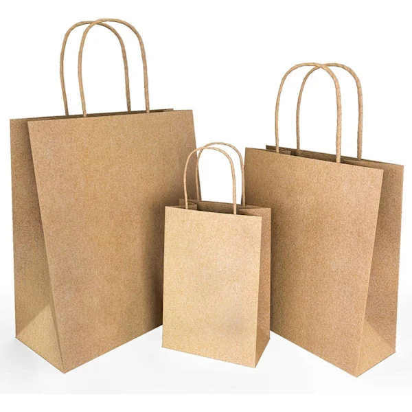 50 stk. mellemstore papirsposer med håndtag, brun farve, SOS Takeaway, runde håndtag, genanvendelige papirsposer (50 x brun (M) 22 x 10 x 24 cm)