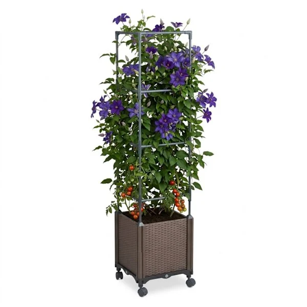 Plantekasse med espalier og hjul – Rattan-stil