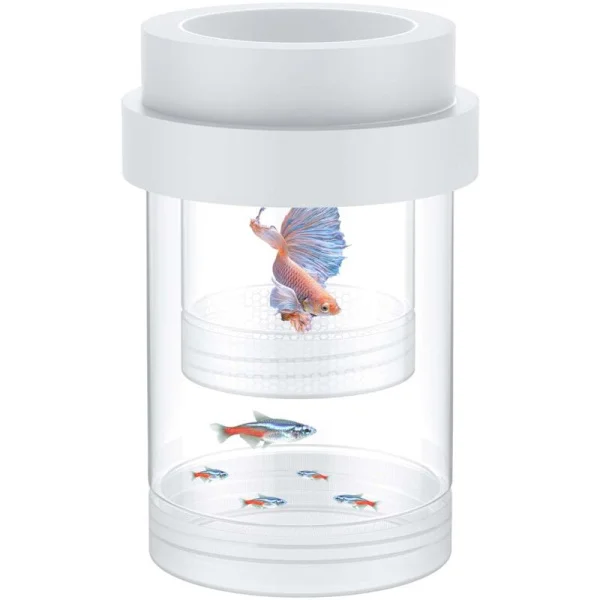 Akvarieodlingslåda. Flytande odlingslåda för guppies. Yngelseparator. Plastinkubator för räkor. Betta. Clownfisk (medium)