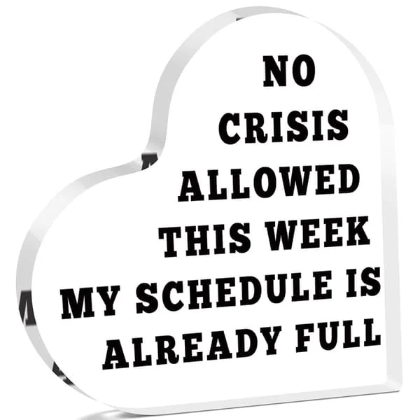 Rolig akrylplakett för socialarbetare, kontorsinredning, till kollegor, vänner, chef, kontorsskrivbordsinredning för anställda, chefskvinnor, 