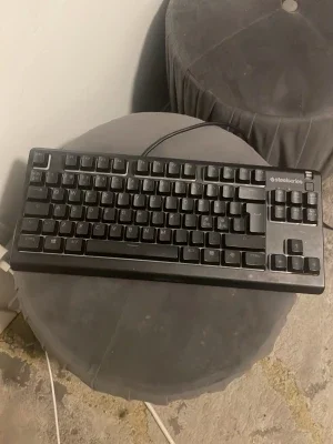 SteelSeries Apex 3 tkl tangentbord