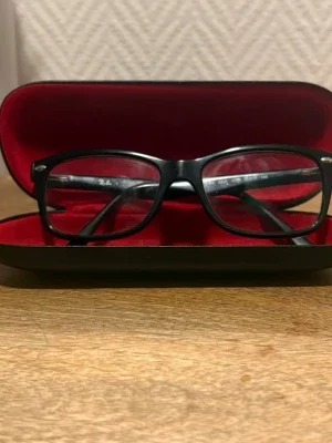 Svarta Ray-Ban Glasögon