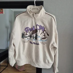 Beige half zip sweatshirt Park City Divided