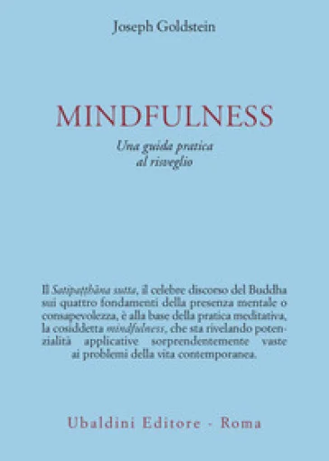 Mindfulness. Una guida pratica al risveglio Joseph Goldstein