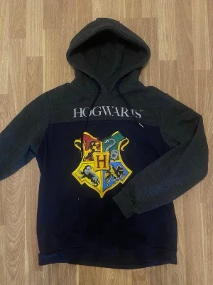 Harry Potter Hogwarts hoodie