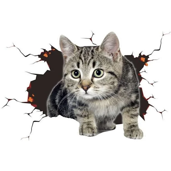 Bil klistremerke, 3D bil klistremerker, katt bil klistremerker, katt klistremerker, bil dekorasjon, personlige bil klistremerker (18 x 24cm)