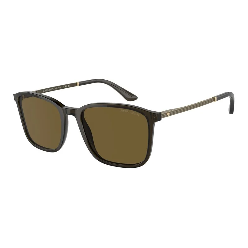 Giorgio Armani - Solbriller - Brun - AR8197 503073 5519