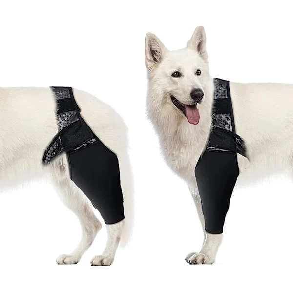 Hund albue støtte, hund kompresjon kne støtte, albue og skulder støtte, dysplasi, leddgikt, albue calluses, trykksår, skulder dislokasjon(M)