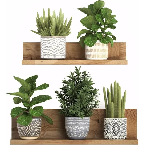 3D Aftagelig PVC Bonsai Vægdekoration Kreativ Vægdekoration Blomstret Grønne Planter Bonsai Træ Vægklistermærker Tropisk Plante Vægdekoration 