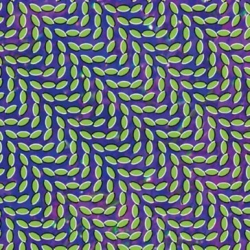 Merriweather post pavillion Animal Collective