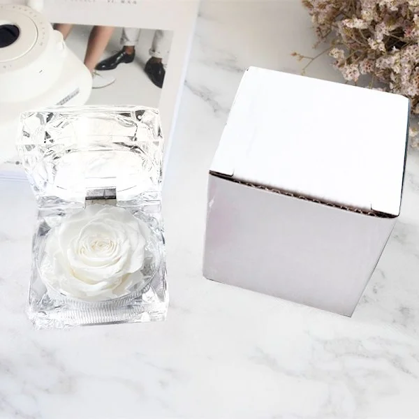 Ekte rose bevart i en mini gjennomsiktig ringeske, smykkeskrin, evighetsgave, evig rose, Valentinsdag Hvit