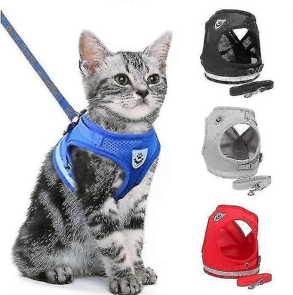 Kattsele, Rymningssäker Kattsele