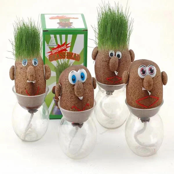 Odlingspåse Krukor Gräshuvud Dockapåse Flower Pot Desktop Radiat