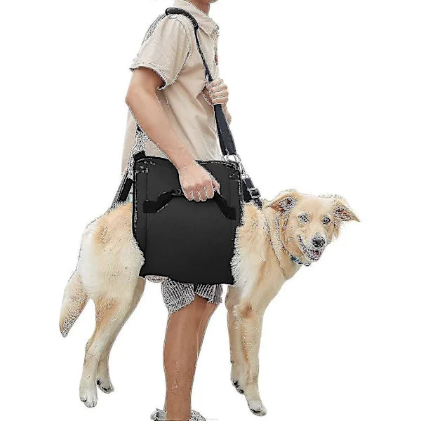 Hundbärsele, Nödryggsäck för husdjur, Benstöd & Rehabilitering Hund (svart) Lyftharness För Kloklippning, Hundbärväska PK XL