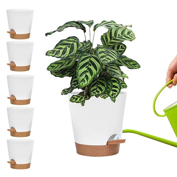 5-pakning - Selvvanningspotte / Selv-vanning / Blomstervanner Hvit