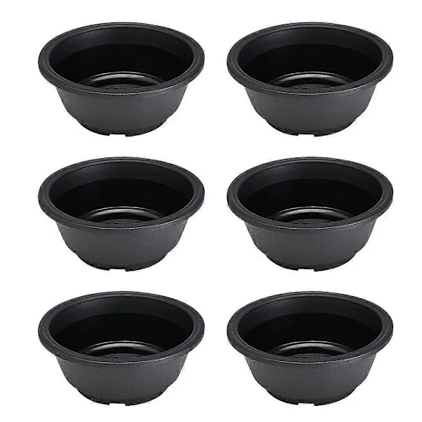 6 stk. Stueplanter Indendørs Levende Luftplante Potte Bonsai Potte Frøplanter Potte