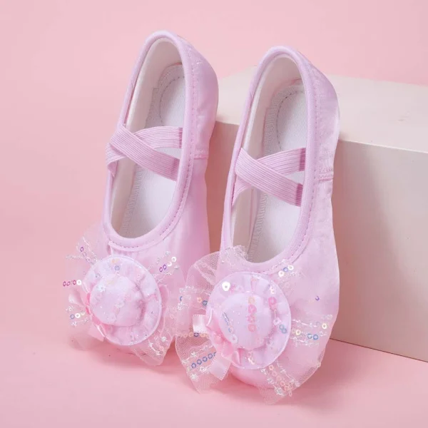 Satin Ballet Shoes for Kids with Mesh and Cat Paw Design, Comfortable Dance Shoes for Ballet Classes and Performances Pink 34 Pink 34