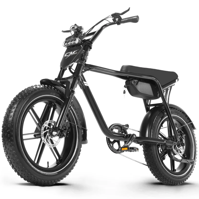 AliExpress - 20-Zoll-Elektrofahrrad für Erwachsene, 48V 15AH Akku, E-Bike mit 1000W Spitzenleistung, Fat Tire Elektro-Mountainbike, Pendler-E-Bike