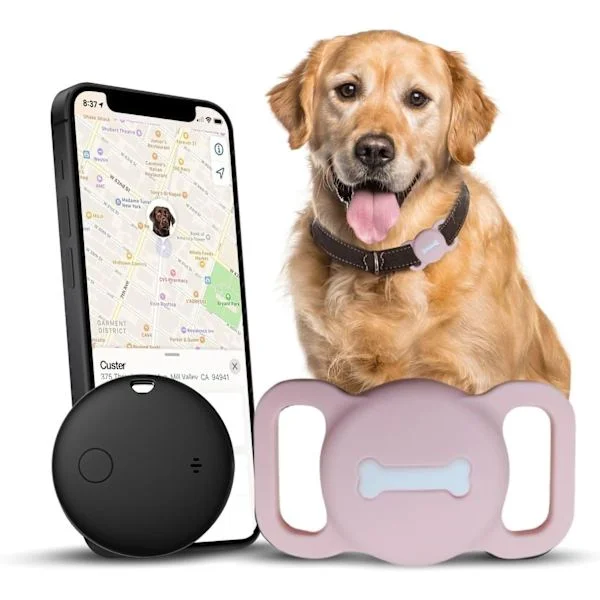 Smart husdjursspårare hundspårare med svart halsband smart tag möjliggör sömlös platsspårning MFi-certifierad ingen GPS-spårning.