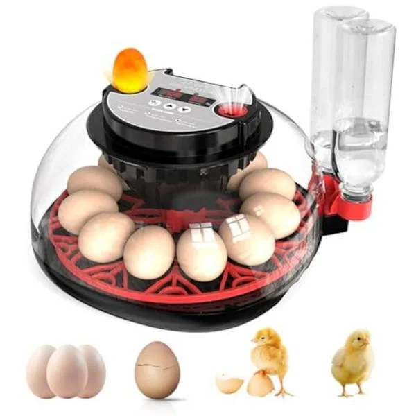 Automatisk rugemaskin for 12 egg med vannforsyning, eggevender, temperatur- og fuktighetskontroll, klekkemaskin{hw}