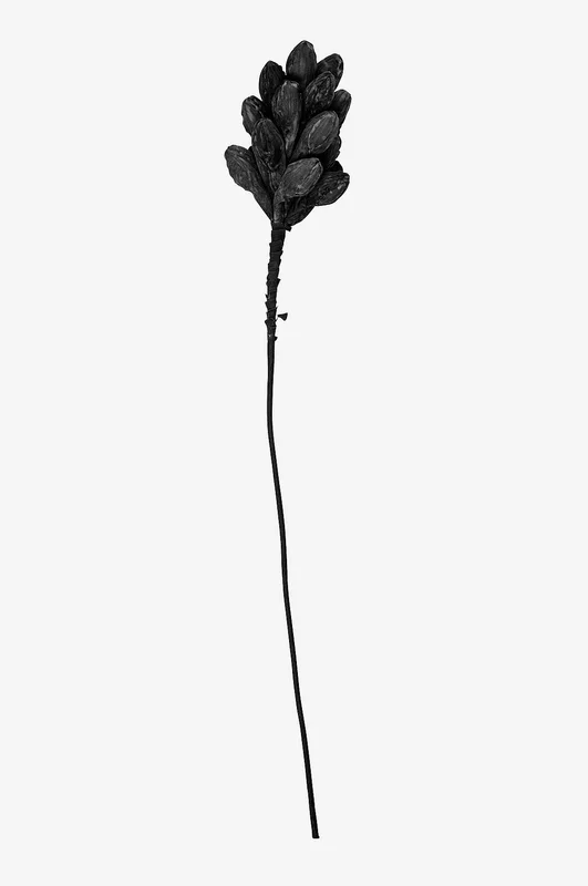 Eightmood - Dekoration blomma Vera - Svart - Konstgjorda växter & plastblommor - Från Homeroom