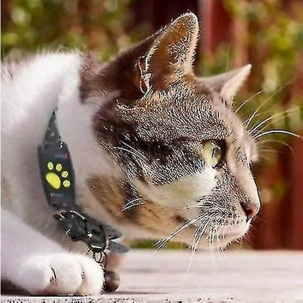 Smart GPS Katt- och Hundhalsbandsspårare