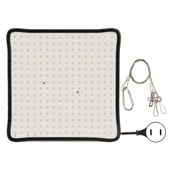 Vitenskapelig kontroll Lav varme LED Vekstlys Drivhus Plantedyrkingslampe 85-265V 1000W US-plugg