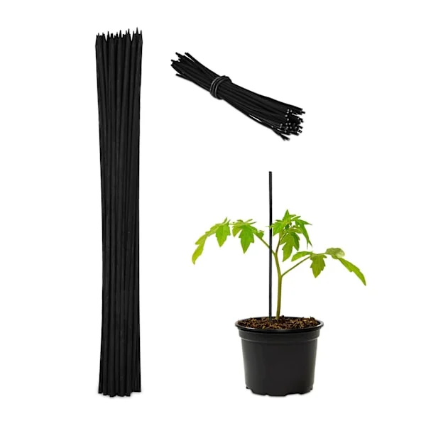 Blompinnar 30 cm i set om 50 st