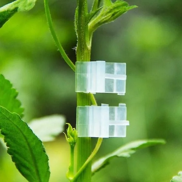 100 Special Plant Grafting Clips - Clips för ympning av tomatplantor och aubergineplantor - Plastfjäderstöd