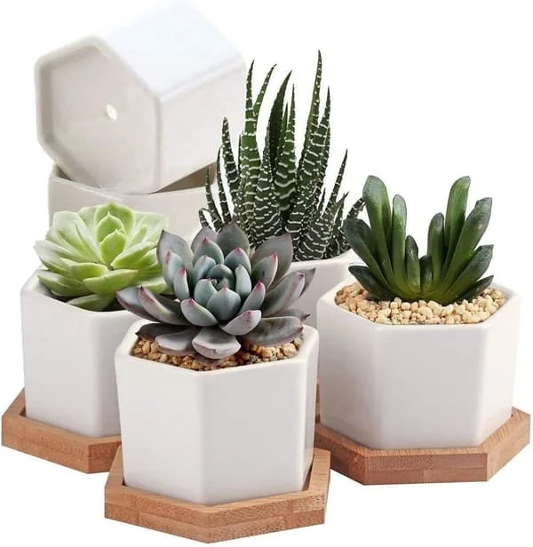 Sukkulente blomsterpotter, kaktuspotter, små blomsterpotter, mini blomsterpotter