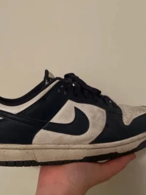 Nike Dunk Low blå och vita sneakers