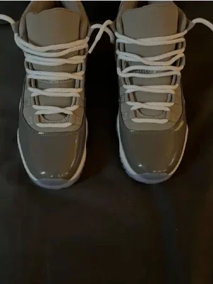 Nike Air Jordan 11 Cool Grey sneakers