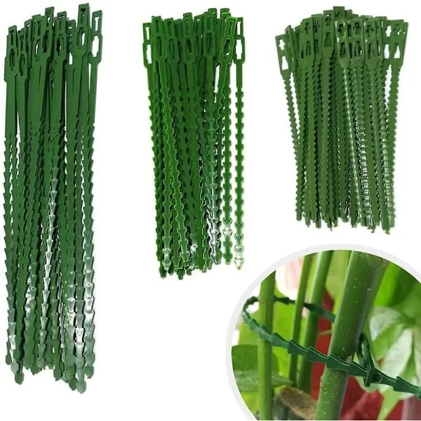 160 st Växtband Justerbara Trädgårdsband, Växtband och Stöd, Hjälper till att Stödja Växter och Buskar, Flexibla Plastband (3 Storlekar)