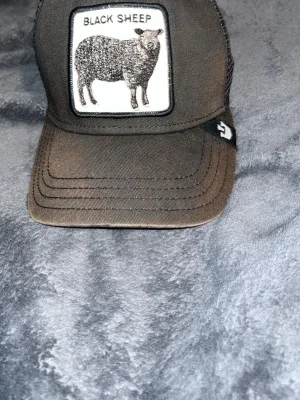 Svart truckerkeps Black Sheep