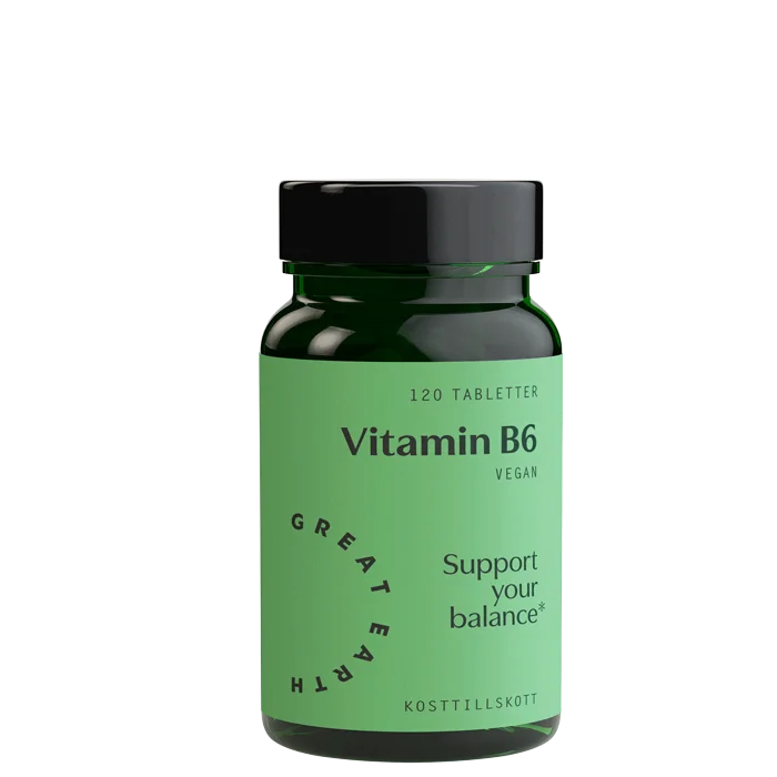 Great Earth Vitamin B6 120 tabletter