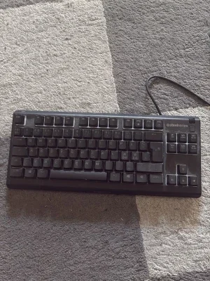 SteelSeries Apex 3 TKL tangentbord