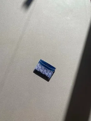 Goyard cardholder