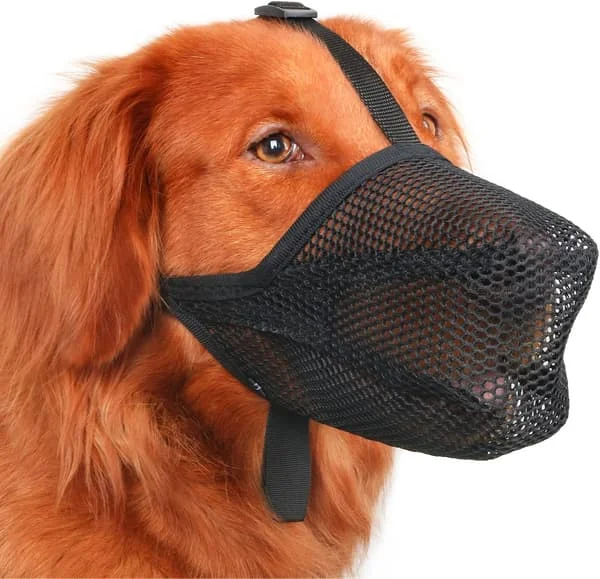 Hundekurv, Patentert Myk Mesh-kurv for Små, Mellomstore og Store Hunder for Å Hindre Åtselspising, Biting, Slikking og Tygging