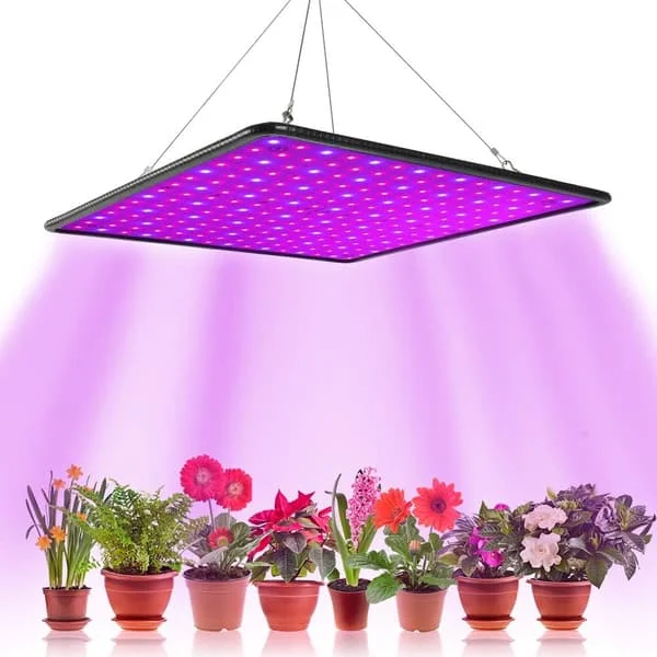1000W LED-lamput puutarhanhoitoon, kukintaan ja viljelyyn, sisäviljelyyn