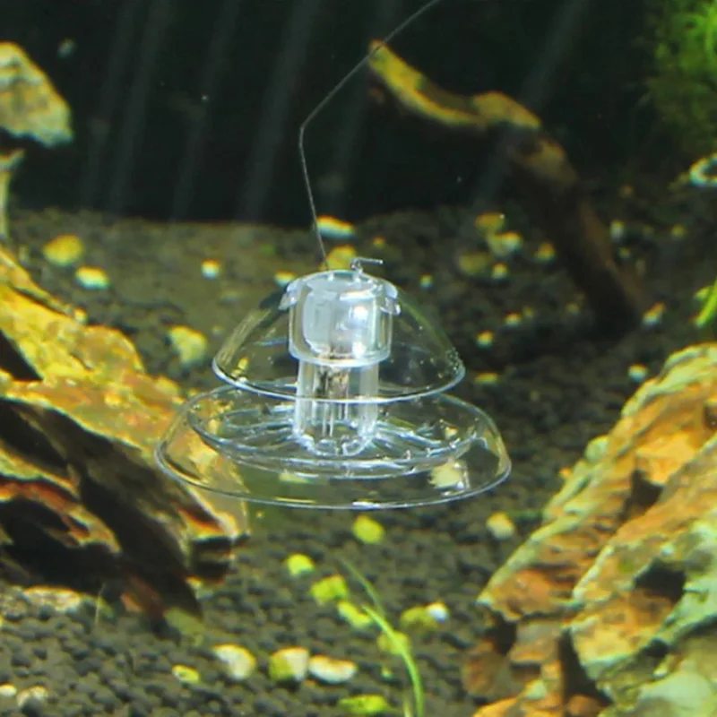 AliExpress - Gras Tank Slak Verwijdering Apparaat Aquarium Slak Catcher Trapping Aquarium Plant Milieu Cleaner Pest Catch Box