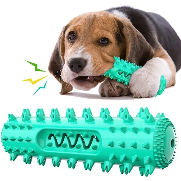 Hundetyggelegetøj Tandbørste pind, Holdbar TPR Tandrensende Gummi med Pibelyd, Til Små og Mellemstore Hunde, Blå Grøn, 18,6 Cm