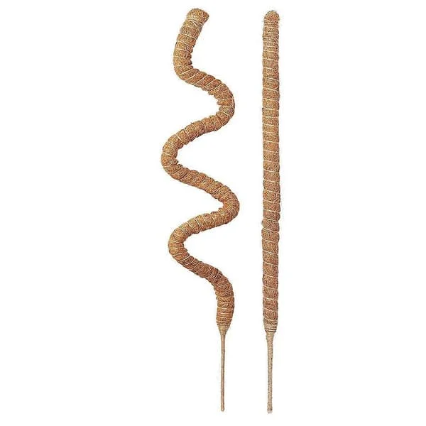Mosepinne Monstera Plantestøtte, Bøybar Plantestøtte for Innendørsplanter, Plantestaker for Klatreplanter 2-pakning