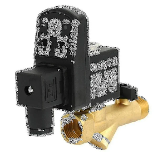 AC 220V 1/2 tommers elektronisk tidsinnstilt 2-veis luftkompressor gasstank automatisk tappeventil (FMY)