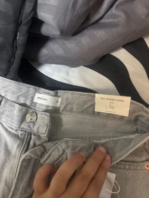 Grå low straight petite jeans 34