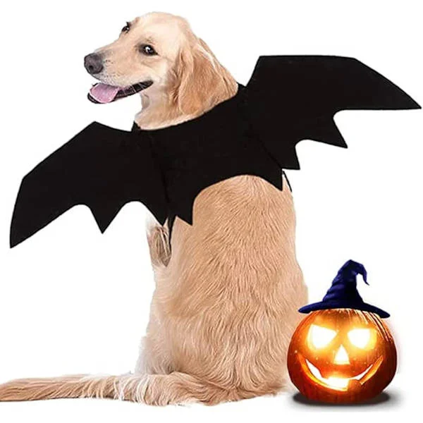 Hund Flaggermusvinger, Hund Halloween Kostyme, Stor Hund Kostyme, Hund Flaggermus Kostyme-FF-