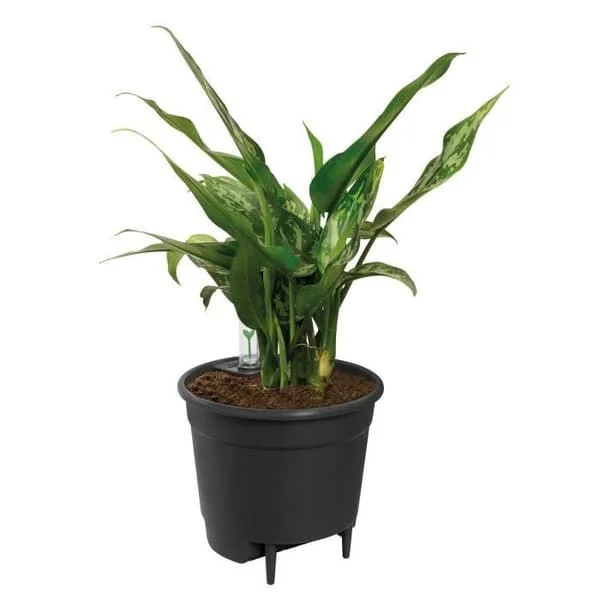 ELHO Blomkruka Självbevattningsinsats - Ø 33 x H 31 cm - Inomhus, tillbehör - 100% återvunnen - Svart
