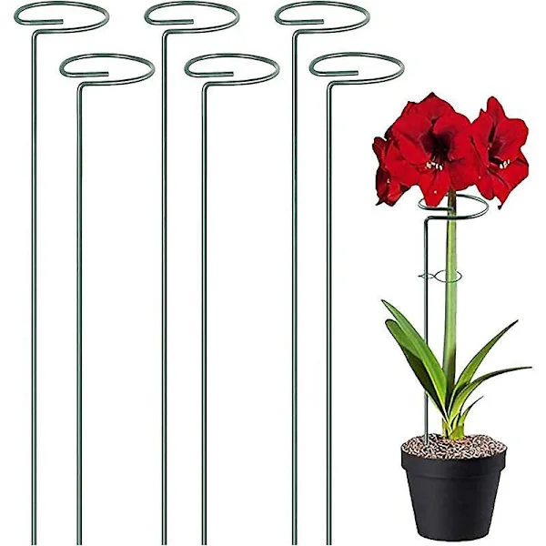 6 st Växtstödspinnar Enstaka Stödpinnar Trädgårdsplantstöd Plantstöd för Växter Blomma Ros Tomat Lilja Pion (40cm)