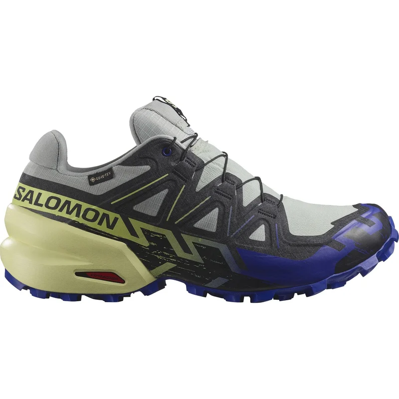 Salomon Speedcross 6 GTX Wrought Iron/Clematis Blue/Sharp Green
