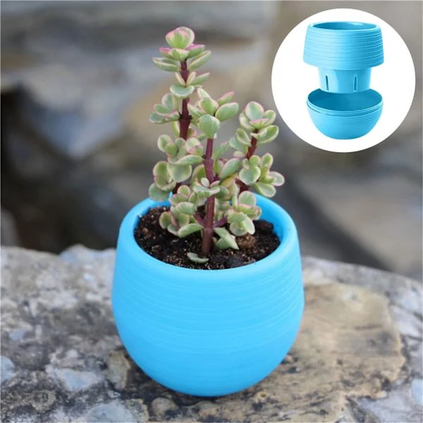 Mini Stone Ball -kukka-astiat Mehikasvit Pienet Kukka-astiat Sateenkaari-astiat