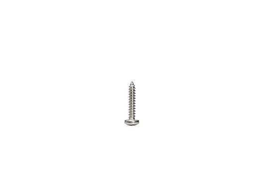 FISCHER Plateskrue 4,8x25mm A4 Syrefast
